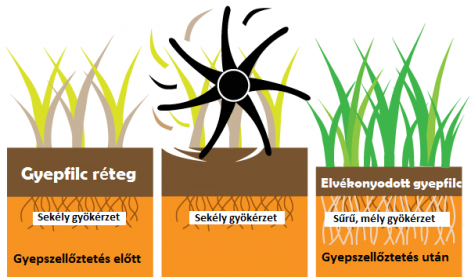 gyepszelloztetes.png gyepszelloztetes.png